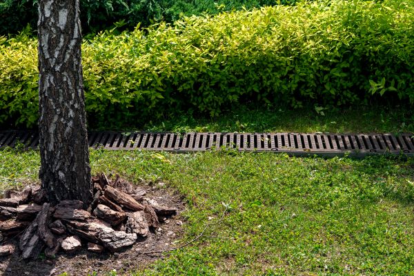 Cost of Yard Water Redirection in Cherry Hill