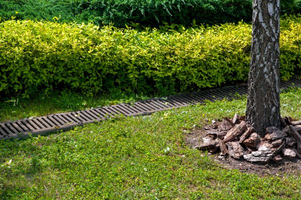 Cost of Residential Landscape Drainage in Cherry Hill